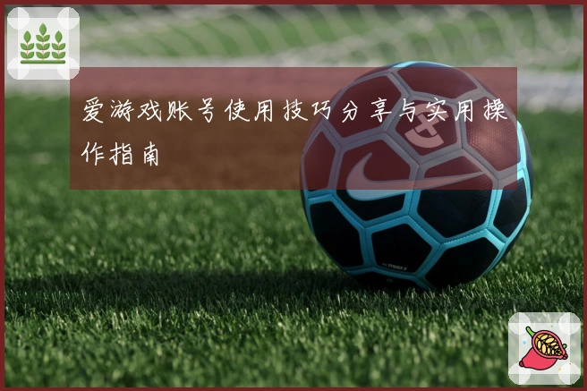 爱游戏账号使用技巧分享与实用操作指南